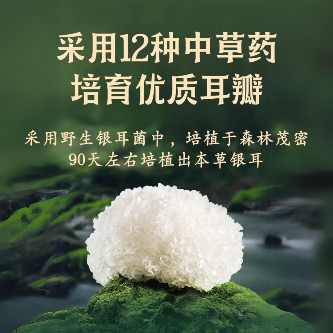 本草银耳 Tremella White Snow Fungus